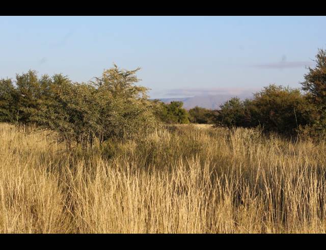 5,614HA FARM FOR SALE IN MERWEVILLE